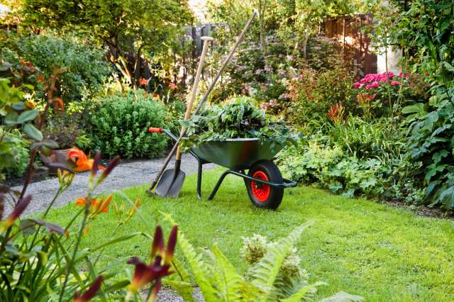 Seasonal Gardening Tips to Make the Most of Your Small Outdoor Space